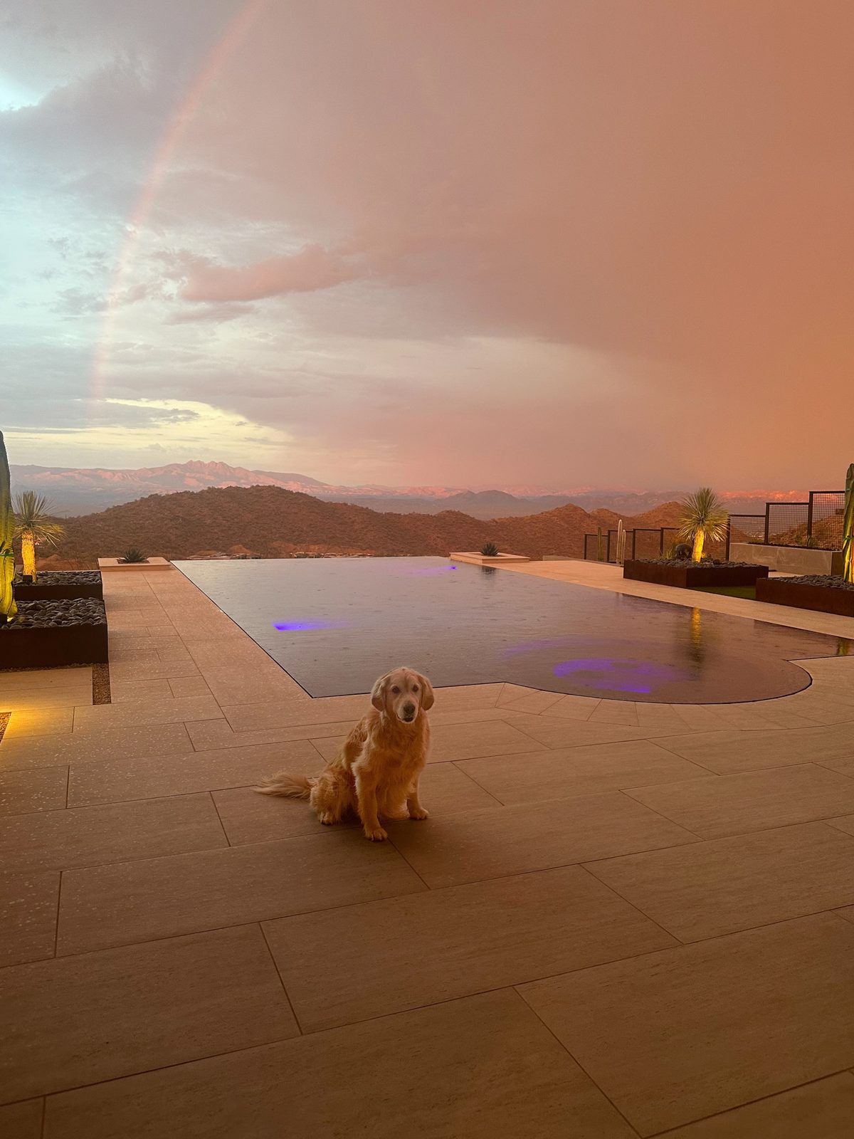 Lily by the infinity pool at sunset